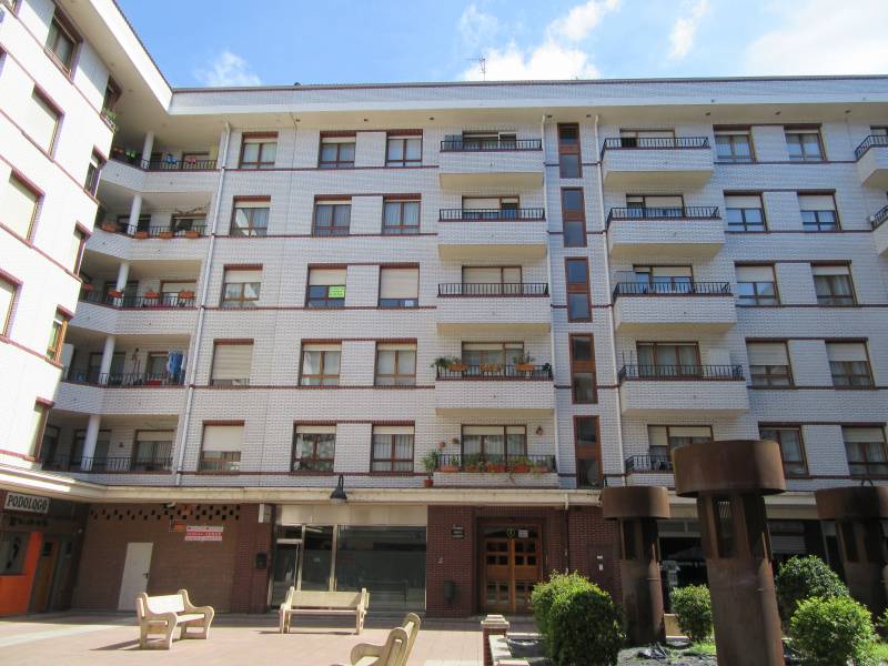Lonja Diáfana En Venta O Alquiler En Etxebarri