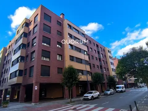 SE VENDE PISO MUY LUMINOSO TOTALMENTE REFORMADO PARA ENTRAR A VIVIR EN ETXEBARRI